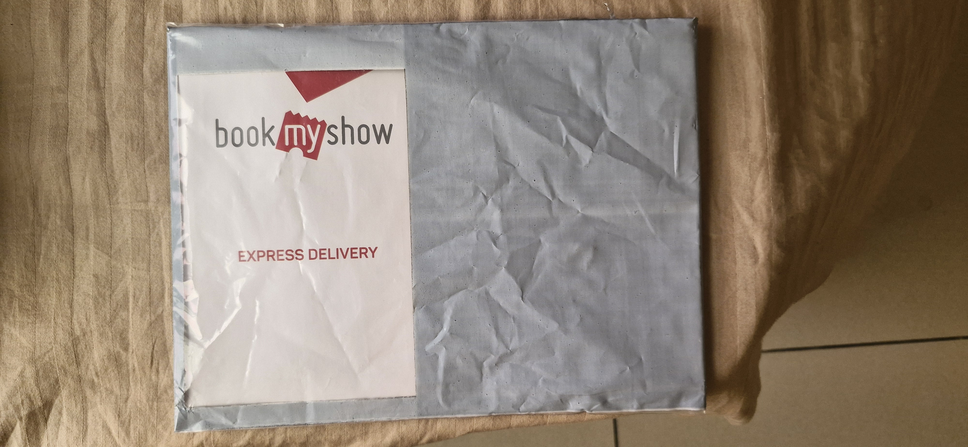 Alan Walker VIP Ticket 